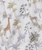 Safari